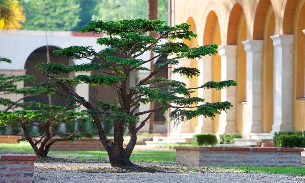 La Bastide En Gascogne Hotell Barbotan-les-Thermes Exteriör bild
